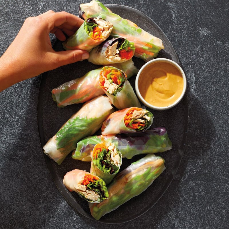 large, oval dark gray platter topped with chicken and vegetable rice paper rolls, served with a small dish of peanut butter-soy sauce for dipping