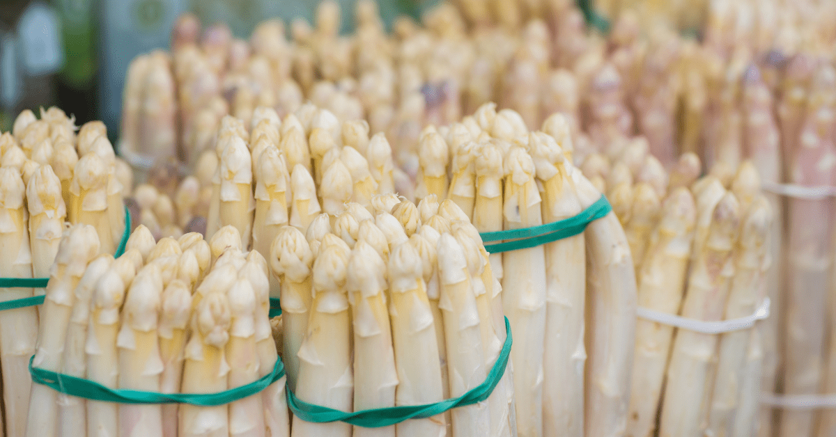 Bundels van witte asperges, close-up