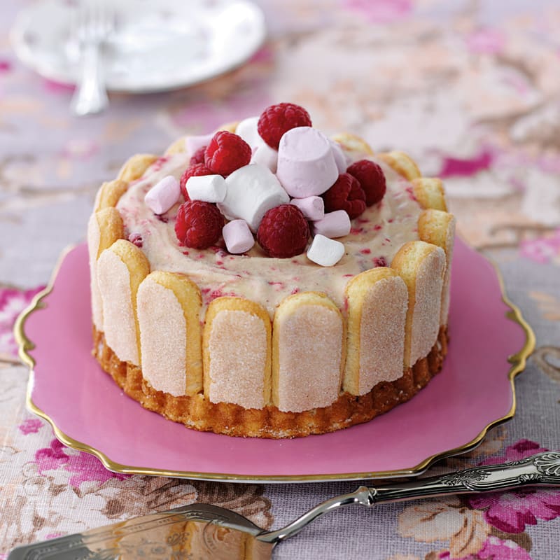 Photo of Ice cream raspberry ripple cake by WW
