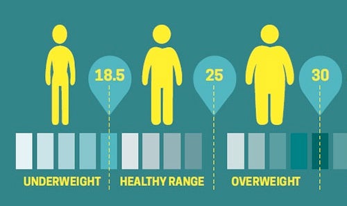 Healthy Weight Range Chart for Women & Men By Height | WW Australia