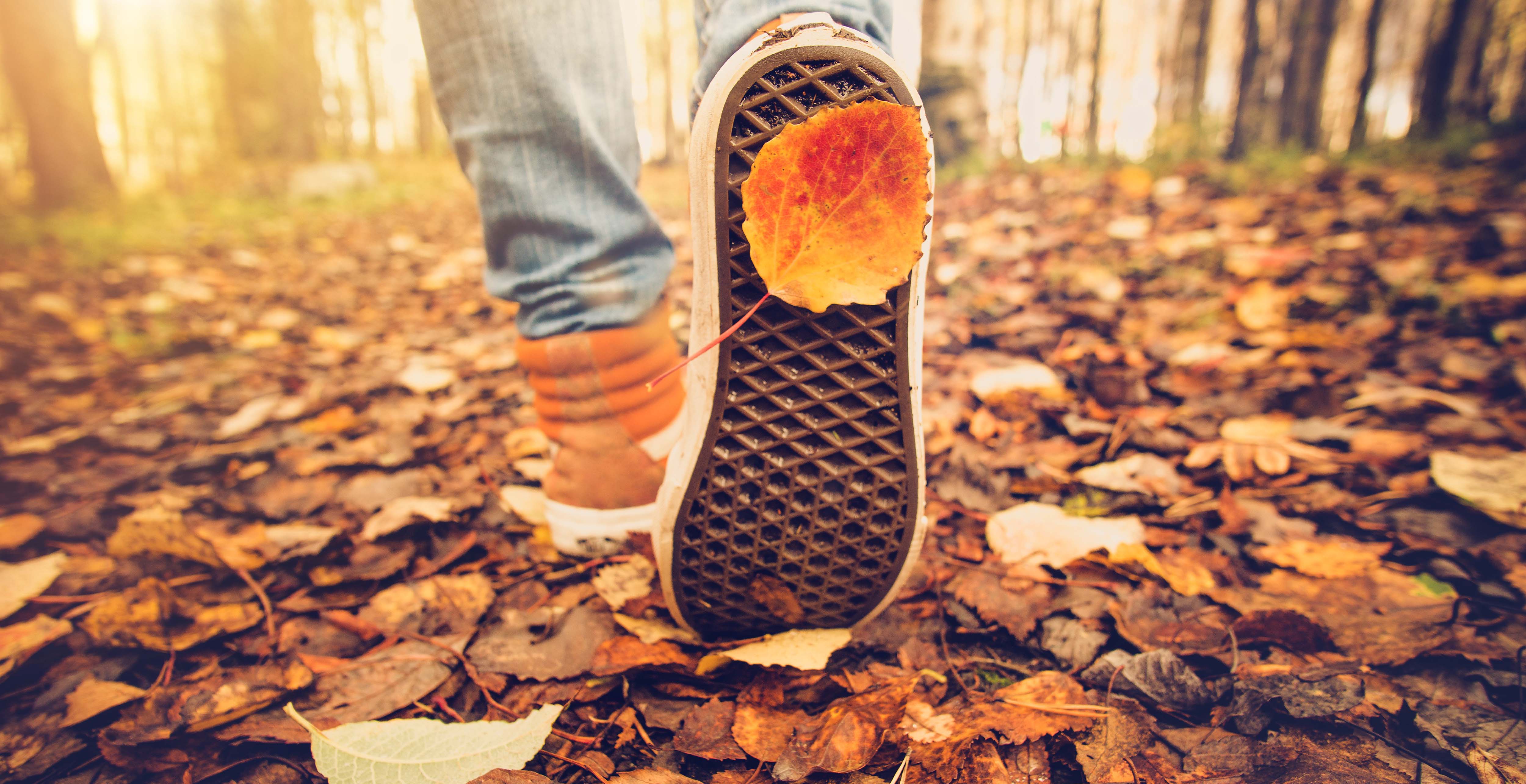 Гулял октябрь. Ноги в листве. Ноги в листве осенней. Листья под ногами. Ноги в осенних листьях.
