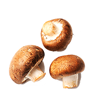 how to keep mushrooms fresh