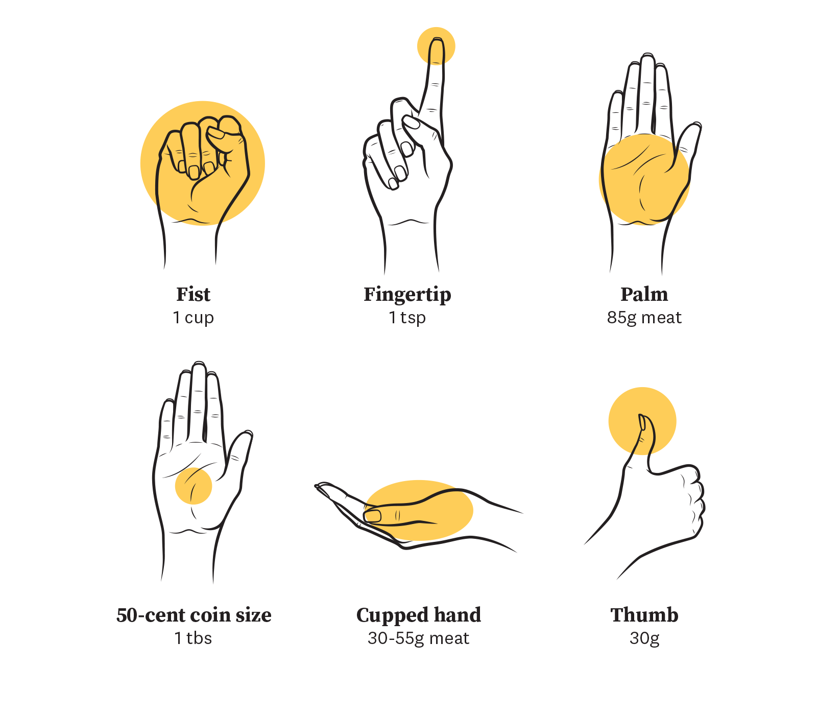 Portion estimator hand guide