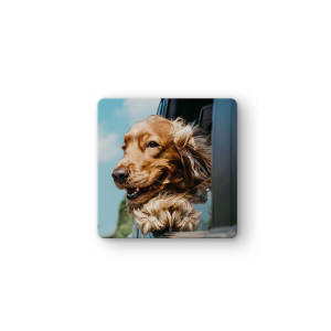 Single image of a square personalised ceramic coaster featuring picture of a dog